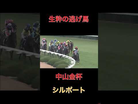 生粋の逃げ馬シルポート【京都金杯】#京都金杯#競馬