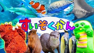 水族館へ行こう！カワウソ サメ ペンギン アザラシ 海の生き物大集合！かわいい海の人気者『カクレクマノミ』もいたよ〜♪