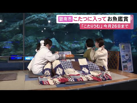 非日常的な組み合わせ…大水槽の前でこたつに入りながら魚を鑑賞『こたりうむ』愛知県碧南市の水族館で開催