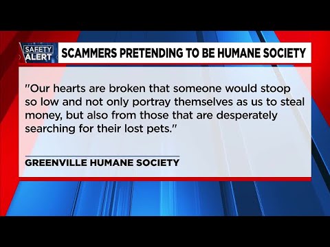 Greenville Humane Society warns of scam calls taking advantage of grieving pet owners