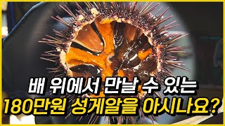 준비물 180만원, 대자연 태즈매니아 씨푸드 크루즈 투어