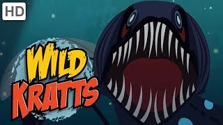 🦈🦑Wild Kratts - Ocean Explorers | Kids Videos