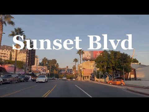 Sunset Strip, Sunset Blvd 4K. Sunset Strip, West Hollywood, Hollywood & Silverlake. Model X Tesla.