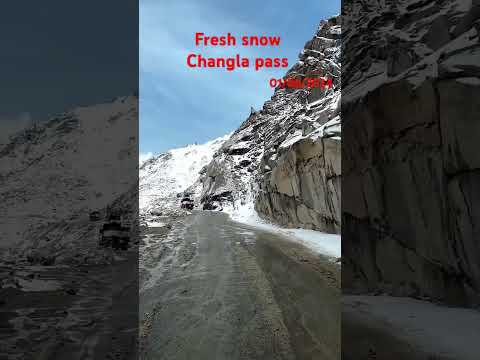 Fresh snow and changla pass ladakh #shorts #youtubeshorts#changlapass  #veerszone#trending