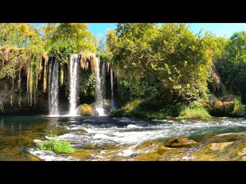 Relaxing Music for Stress Relief, Sleeping, Healing, Calm, Study - Beautiful Nature & Water Sounds