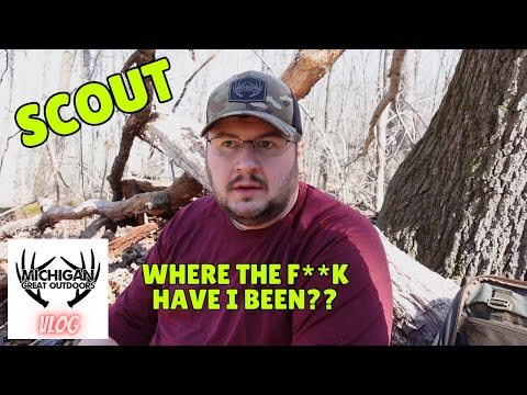 Michigan Public Land Scouting Vlog 1 - First Video In 6 Months