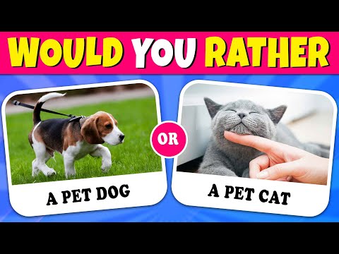 Would You Rather...? Animals Edition 🐶🐈‍⬛ Quiz Rainbow