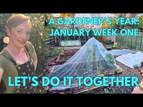 A GARDENER’S YEAR 2025: JANUARY - WEEK ONE - FILMING EVERY DAY FOR A WHOLE YEAR!