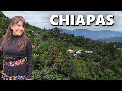 Esta Mujer Hace un Negocio Exitoso Utilizando Agroforestería en las Montañas de México