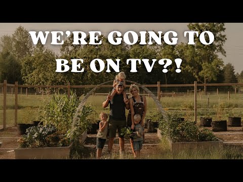 We're Going To Be On TV?! Big Life Update!