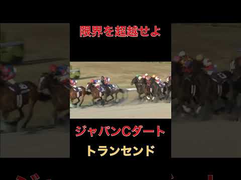 限界を超越せよトランセンド【競馬】#競馬#トランセンド#ウマ娘