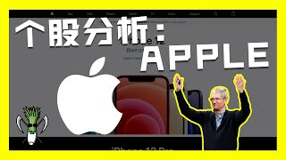 【美股个股分析】世界上最有价值的品牌之一， APPLE苹果公司