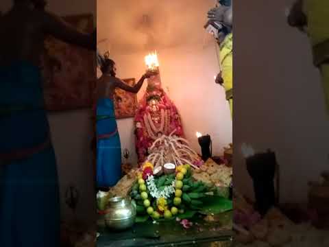 🔥வனபேச்சியம்மன் கோவில் கொடைவிழா 🔥#god #lord #shiva #2023 #sivan #sudalaimadasamy #trending