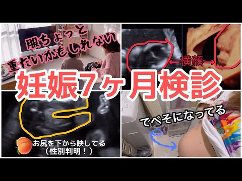 【妊娠7ヶ月】妊婦検診の1日【性別判明！】