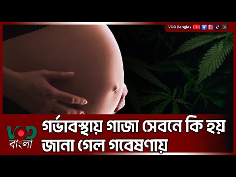 গর্ভাবস্থায় গাজা সেবনে কি হয় জানা গেল গবেষণায় | Pregnancy Restriction | VOD News