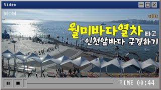 월미바다열차 타고 월미도 구경하기