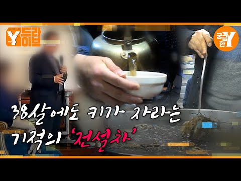 암도 고친다는 기적의 차🍵 전설차 | Y드라이브