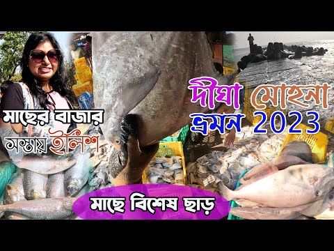 Digha Mohona 2023 | Digha Mohona Fish Market | দীঘা মোহনা মাছ বাজার | দীঘা মোহনায় বড়ো বড়ো মাছ