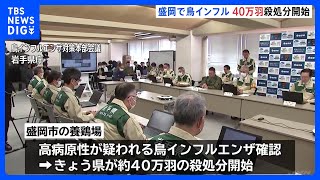 盛岡市で鳥インフルエンザ確認　約40万羽の殺処分開始　岩手県3例目｜TBS NEWS DIG