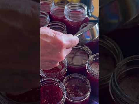 #cabinlife #raspberryjam #diy #sustainableliving #uniquesppliances  #vlog #northernbc