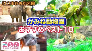 かみね動物園 おすすめベスト10【茨城県日立市】