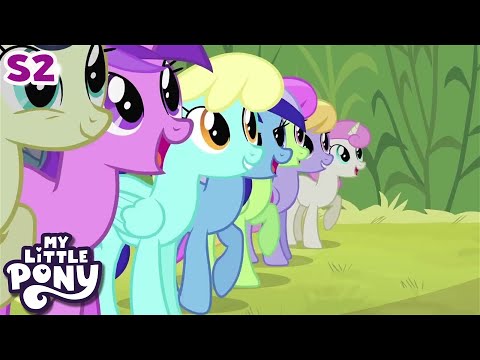 S2E19 | Putting Your Hoof Down | My Little Pony: Friendship Is Magic