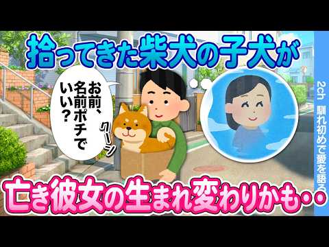 【2ch馴れ初め】身寄りのない捨て犬を拾った俺 → 亡くなった彼女の生まれ変わりと信じ大切に育てた結果