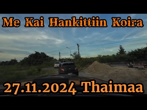 Me Kai Hankittiin Koira Vaikka Ei Haluttu 27.11.2024 Thaimaa