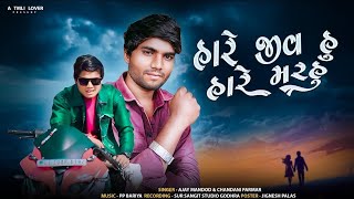 હારે જીવહું || ટીમલી 2024 || Ajay mandod new song chandani parmar || new timli 2024