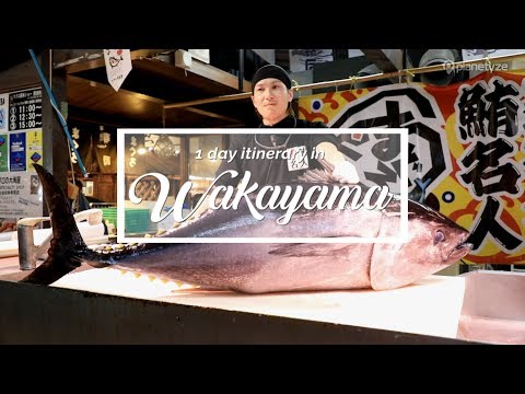 Wakayama - 1 Day Itinerary | Japan Itinerary suggestion