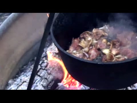 30 MIN DUTCH OVEN RECIPE FOR BEGINNERS ON THE CAMPFIRE