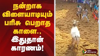 நன்றாக விளையாடியும் பரிசு பெறாத காளை.,இதான் காரணம்! | Alanganallurjallikattu | MADURAI