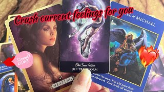 Crush Current feelings/ emotions for you❤️‍🔥 Crush current feelings | Hindi tarot card