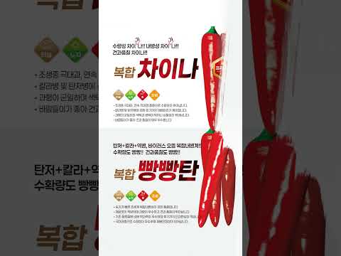 골드바이오 2025년 고추종자 품종리스트 feat. ABS19, 복합탄탄, 복합놀부