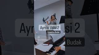 AyrılıkValsi #piyano #piyanocover #valse #waltzillafitness #waltzmusic #ayrilik #ayrılıkfonmüzikleri