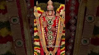 Thirumala Giripai Velasina | Venkateswara Swamy Song | Telugu Venkateswara Devotional Song Murthy