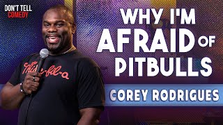 Why I'm Afraid of Pit Bulls | Corey Rodrigues | Stand Up Comedy