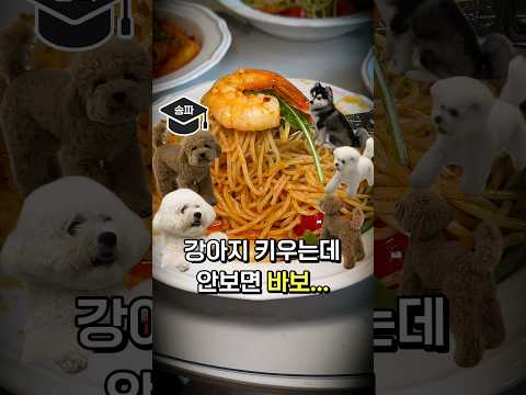 애견인들 개 좋겠다..🐶 140만원 이벤트 제대로 쏩니다 [파스타 스테이크 치킨]