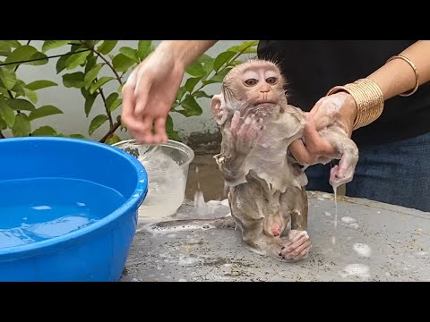 Cute Baby boy Sit For Mom To Take A Bath Look is Very So Cute