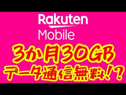 【楽天モバイル データ専用30GBが無料】楽天の株主優待が太っ腹な件