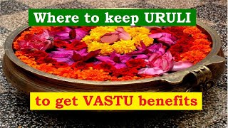 Where to keep uruli at home | Uruli Flower Benefits | Attract Wealth