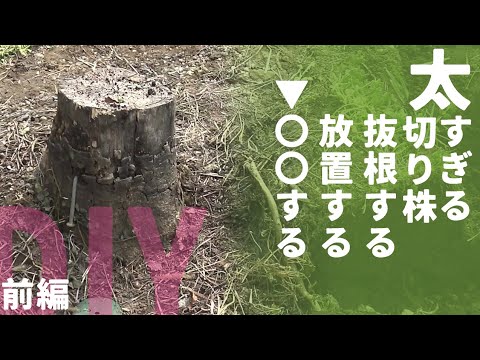 【庭DIY 庭作り】庭の切り株を人力で掘って除去・・・出来ない大きな切株対策方法『前編』｜過去最大の木を抜根？いや抜根ではない方法｜diy［garden answer］