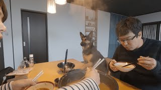 We Always Enjoy Eating Together With My German Shepherd Dog!