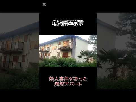 【五泉市心霊スポット】殺人事件があったと噂の廃墟アパート　#心霊 #心霊スポット #心霊オススメ #心霊体験 #心霊探索 #恐怖 #ホラー #horror #廃墟 #廃墟探索 #五泉市