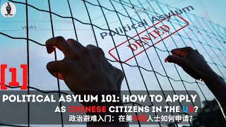 Political Asylum 101: How to Apply as Chinese Citizens in the US? | 政治避难入门：在美中国人士如何申请？ [PART 1]