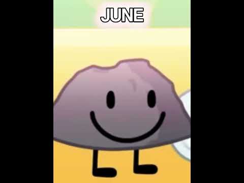 Your Birth Month, Your BFDI Character