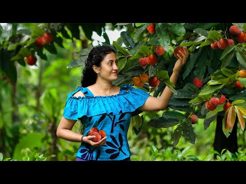 Full of Velvet apple tree made my family time more delicious again & again |Poorna - The nature girl