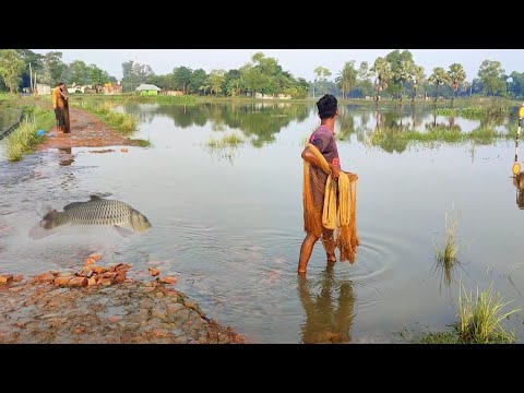 Amazing Traditional Boy Carp Fish Catching By Netting In Water | Amazing Net Fishing