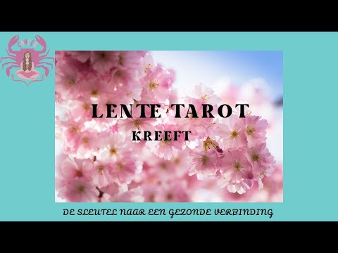 lente TAROT Kreeft   De sleutel naar een gezonde verbinding