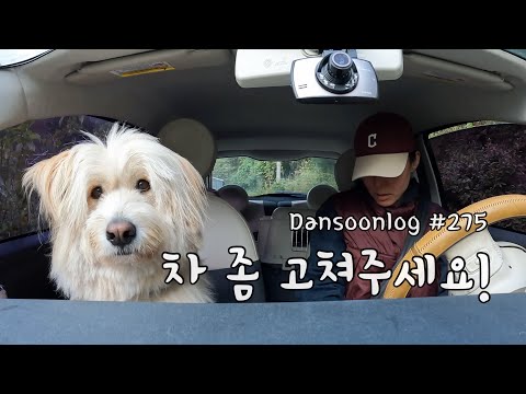 SUB 단순로그275 시골에서 수입차가 고장 나면 생기는 일 vlog